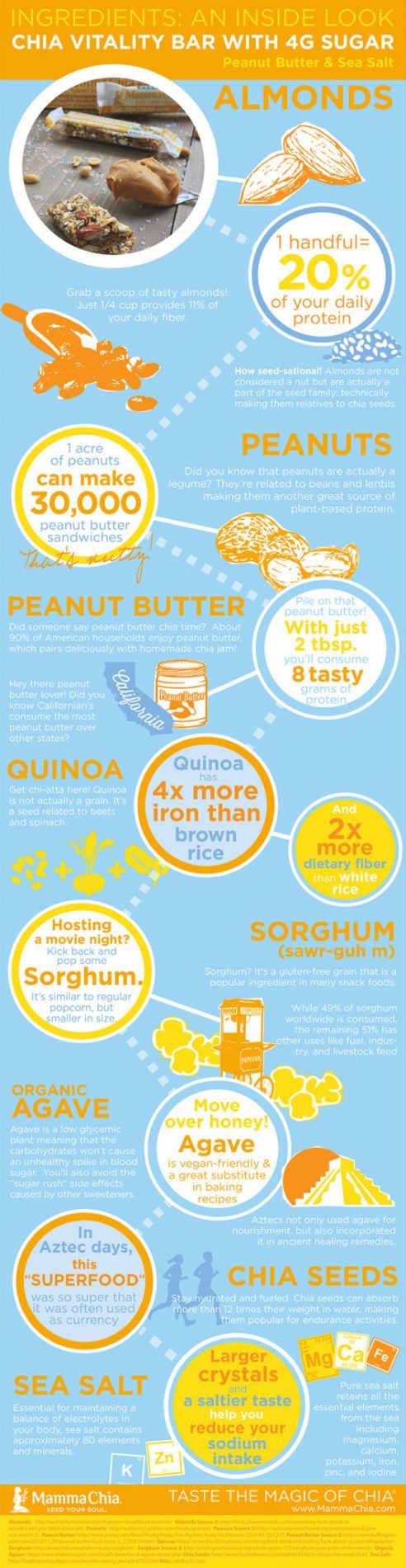 4_gram_Sugar_info