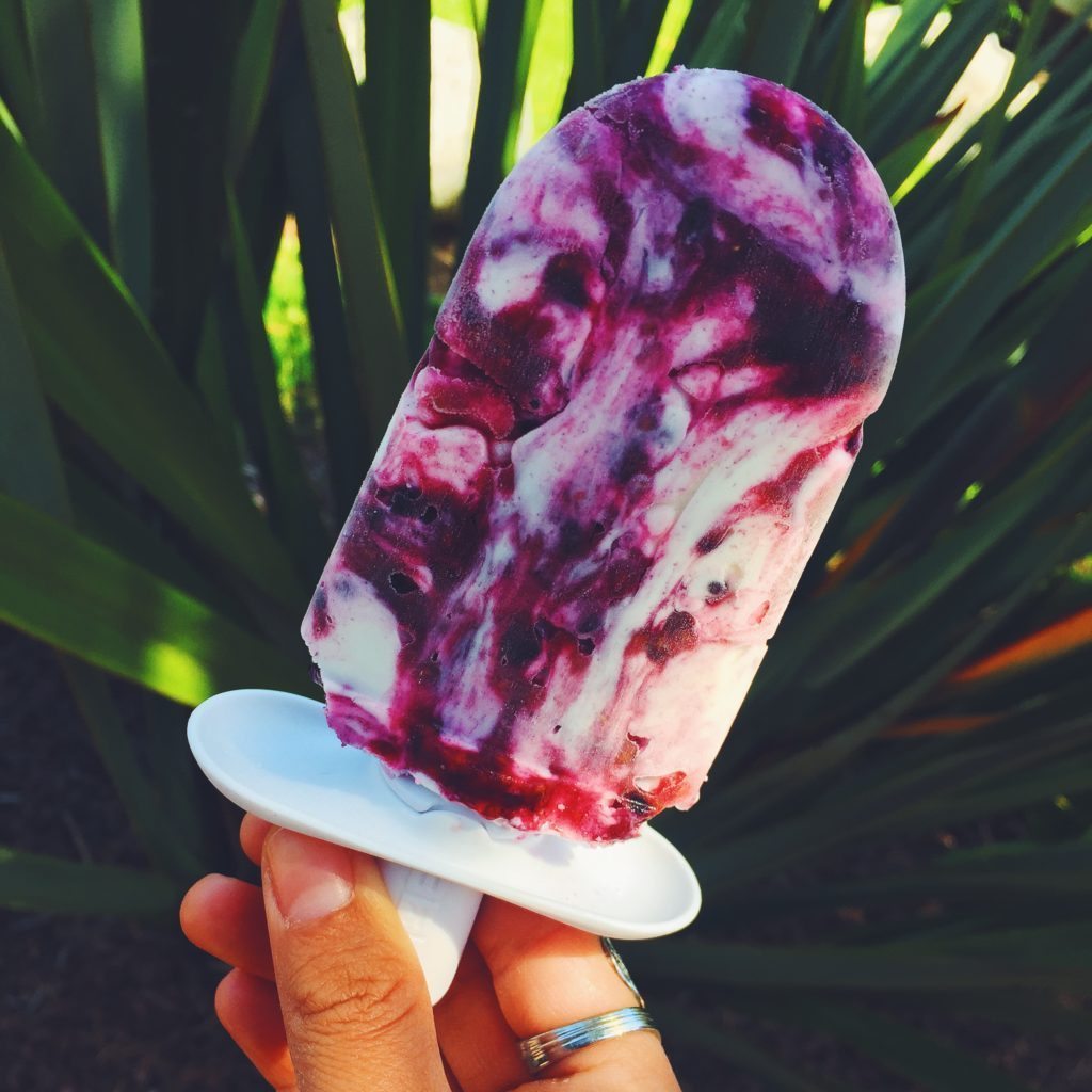 Blackberry & Wild Raspberry Yogurt Pops