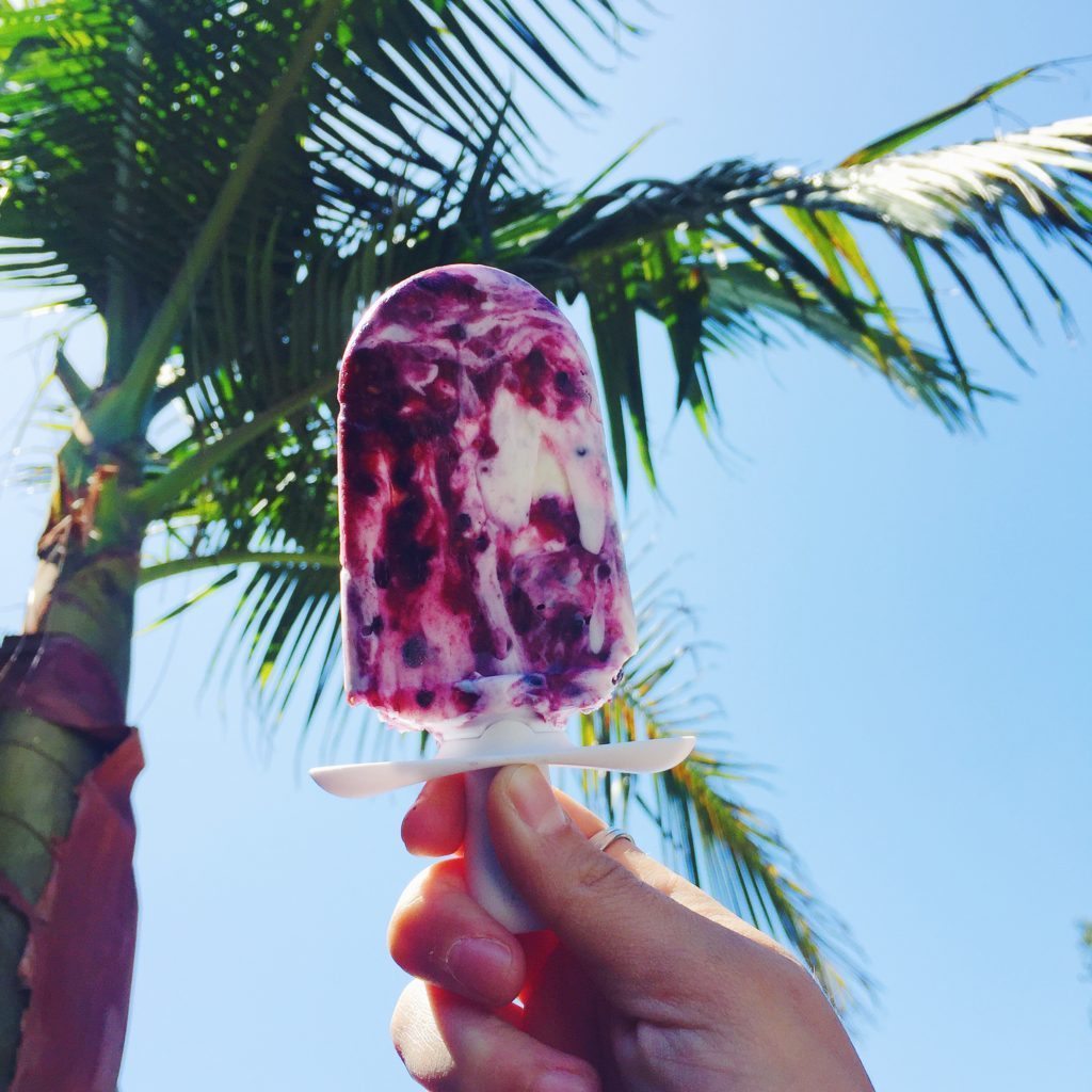 Blackberry & Wild Raspberry Yogurt Pops