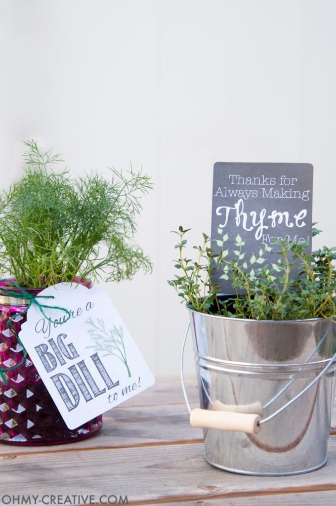 Potted-Herb-DIY-Gifts-with-Printable-Tags-2