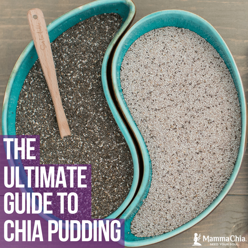 The Ultimate Guide to Chia Pudding | Mamma Chia blog