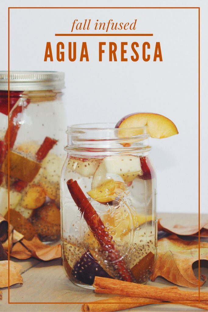 Fall Infused Agua Fresca